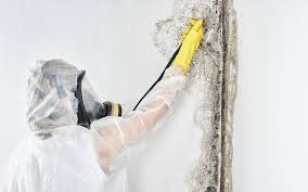 Mold Remediation for Vacation Homes in Dewey, OK